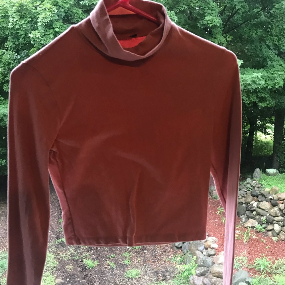 Long Sleeve Mauve Crop Top!